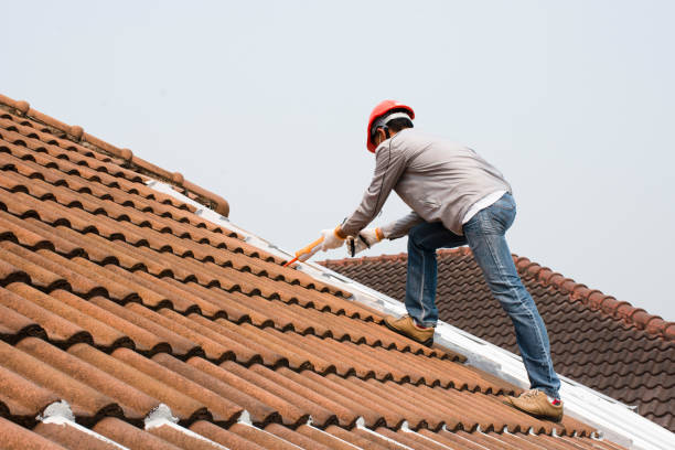 Best Skylight Installation and Repair  in Kankakee, IL